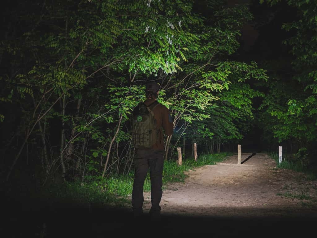 当照明成为生活与工作的底气：Fenix是最值得信赖的伙伴 Feature Image